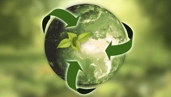 24 декабря - создание Международного социально-экологического союза (МСоЭС)